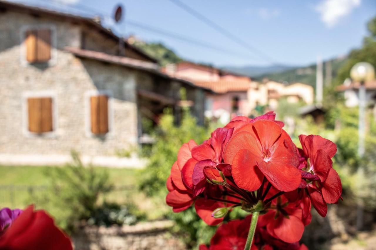 B&B La Casa D'Artista Ortignano Raggiolo Dış mekan fotoğraf