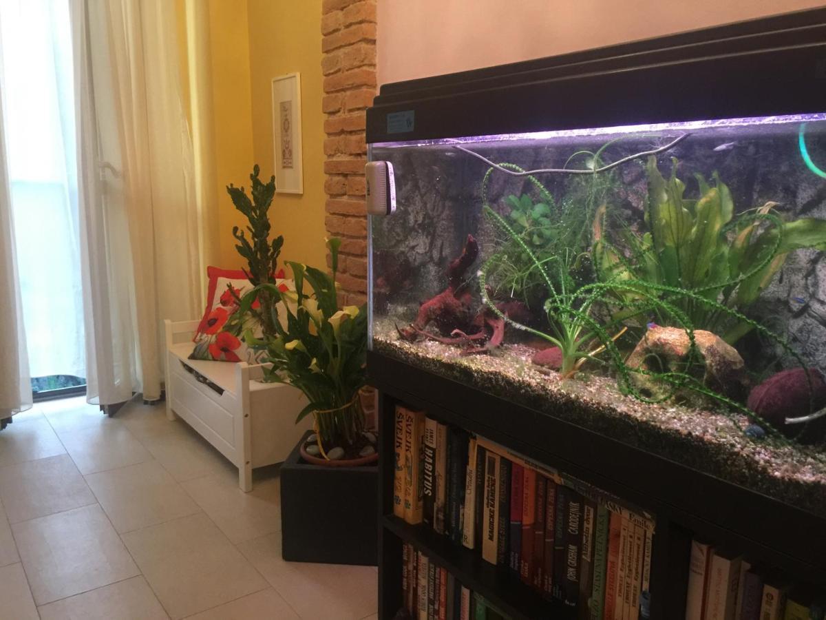 B&B La Casa D'Artista Ortignano Raggiolo Dış mekan fotoğraf